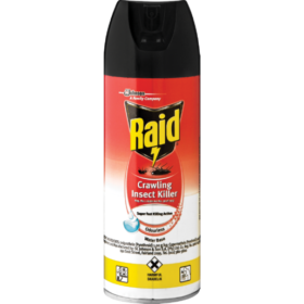 Raid Odourless 180ml