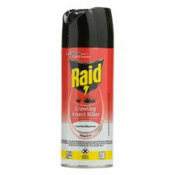 Raid Odourless 300ml