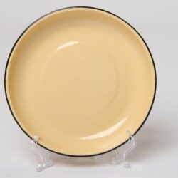 New World Rice Plate 22g