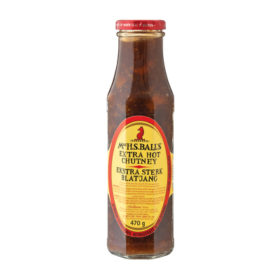 Mrs Balls Chutney Hot 470g